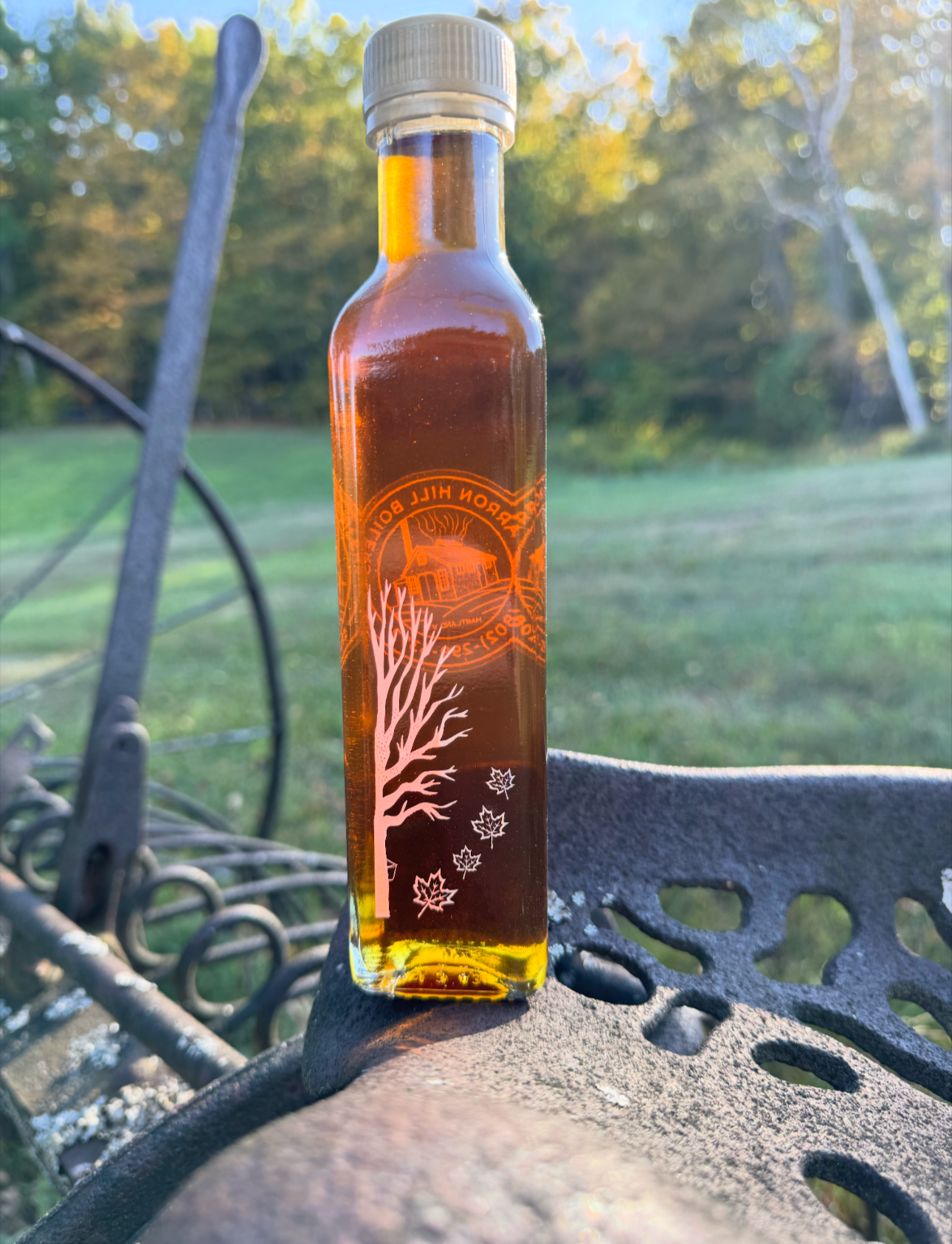 8.45 Oz. Tall Glass Bottle