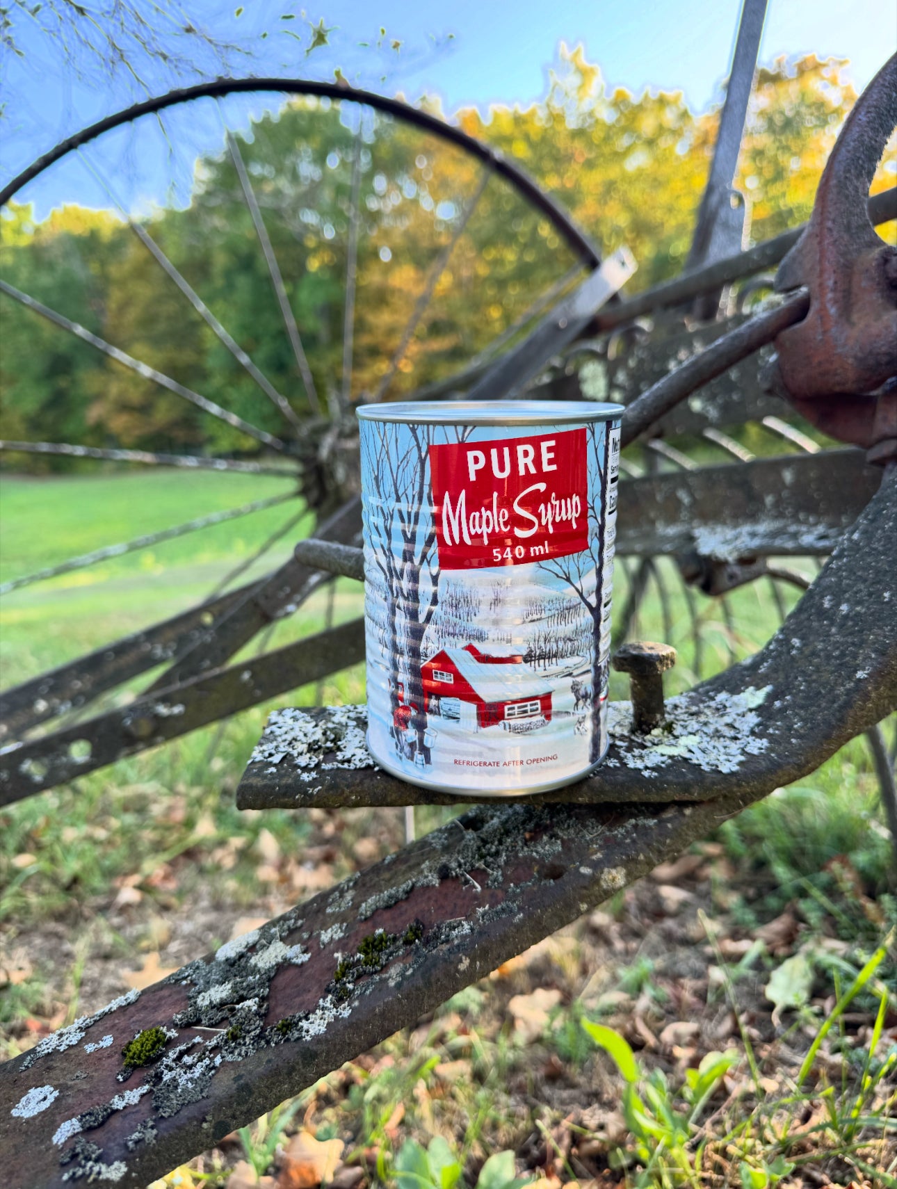 18.2 Oz Soup Can