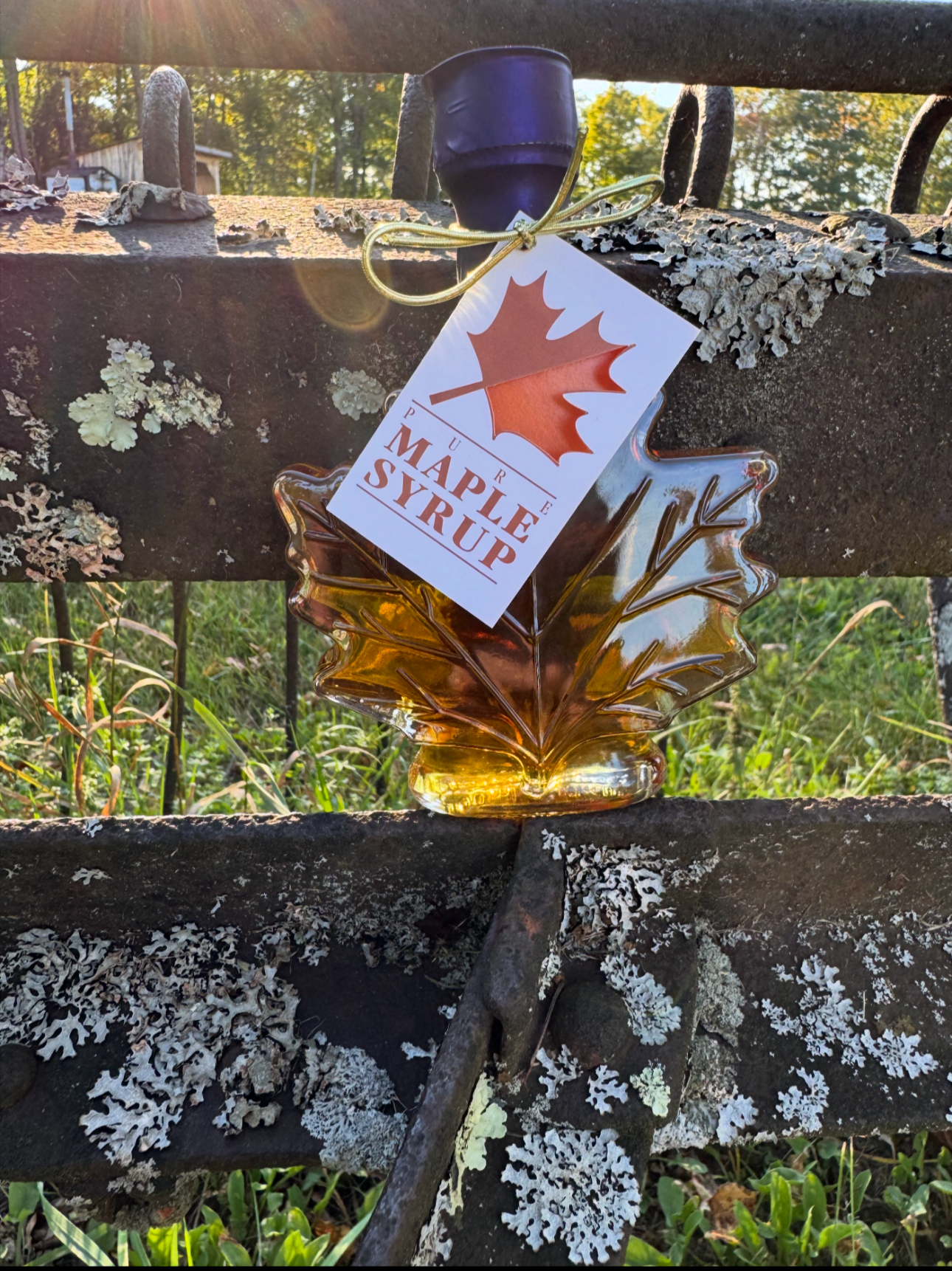 3.4 Oz. Maple leaf
